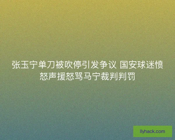 张玉宁单刀被吹停引发争议 国安球迷愤怒声援怒骂马宁裁判判罚